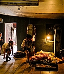 MFN-012.jpg