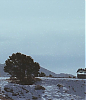00895.jpg