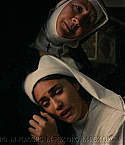mothe_0037.jpg