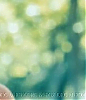 Filename=unkno_0420.jpg
Filesize=25KiB
Dimensions=664x268
Date added=Aug 29, 2008 unkno_0420.jpg