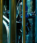 Filename=unkno_0591.jpg
Filesize=29KiB
Dimensions=664x268
Date added=Aug 29, 2008 unkno_0591.jpg