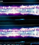 Filename=unkno_0612.jpg
Filesize=38KiB
Dimensions=664x268
Date added=Aug 29, 2008 unkno_0612.jpg
