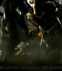 Filename=unkno_2342.jpg
Filesize=24KiB
Dimensions=664x268
Date added=Aug 29, 2008 unkno_2342.jpg