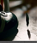 Filename=transfor_0760.jpg
Filesize=101KiB
Dimensions=640x360
Date added=May 03, 2009 transfor_0760.jpg