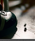 Filename=transfor_0762.jpg
Filesize=102KiB
Dimensions=640x360
Date added=May 03, 2009 transfor_0762.jpg