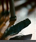 Filename=transfor_0765.jpg
Filesize=107KiB
Dimensions=640x360
Date added=May 03, 2009 transfor_0765.jpg