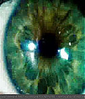 transfor_0785.jpg