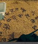 Filename=transfor_0805.jpg
Filesize=160KiB
Dimensions=640x360
Date added=May 03, 2009 transfor_0805.jpg