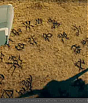 Filename=transfor_0806.jpg
Filesize=163KiB
Dimensions=640x360
Date added=May 03, 2009 transfor_0806.jpg