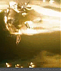 Filename=transfor_0811.jpg
Filesize=112KiB
Dimensions=640x360
Date added=May 03, 2009 transfor_0811.jpg