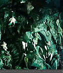 Filename=transfor_0920.jpg
Filesize=138KiB
Dimensions=640x360
Date added=May 03, 2009 transfor_0920.jpg