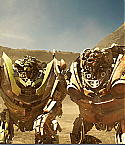 2009_transformers_revenge_of_the_fallen_050.jpg