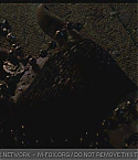 Filename=JBRBT0053.jpg
Filesize=52KiB
Dimensions=432x240
Date added=Aug 10, 2009 JBRBT0053.jpg