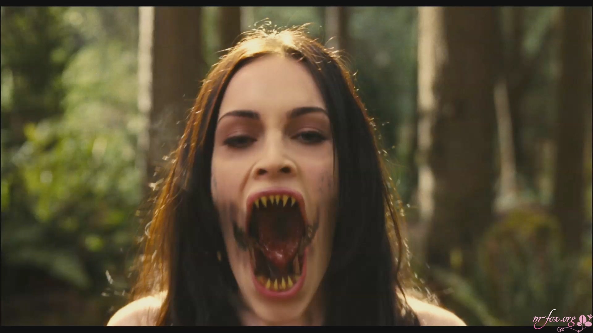 BTSJennifersbody0195.jpg BTSJennifersbody0195.jpg