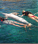 Filename=June30005.jpg
Filesize=399KiB
Dimensions=1742x1166
Date added=Jul 30, 2010 June30005.jpg