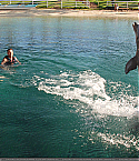 Filename=June30020.jpg
Filesize=382KiB
Dimensions=1742x1166
Date added=Jul 30, 2010 June30020.jpg