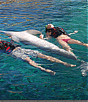 Filename=June30047.jpg
Filesize=392KiB
Dimensions=1742x1166
Date added=Jul 30, 2010 June30047.jpg