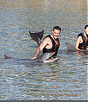 Filename=June30084.jpg
Filesize=774KiB
Dimensions=2000x1333
Date added=Jul 30, 2010 June30084.jpg