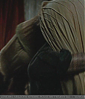 JonahHex118.jpg