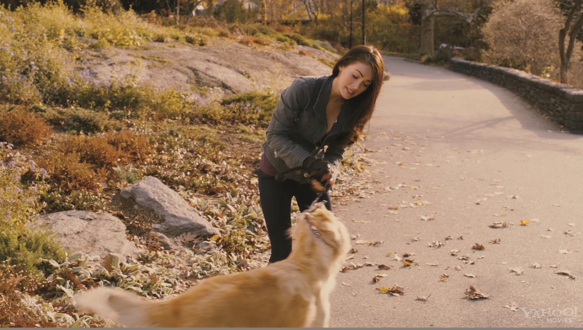 FWKtrailer0310.jpg FWKtrailer0310.jpg