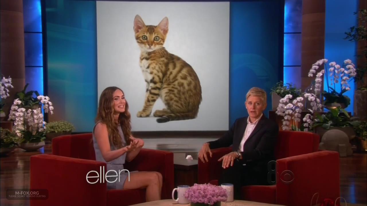 The_Ellen_DeGeneres_Show050514026.jpg The_Ellen_DeGeneres_Show050514026.jpg