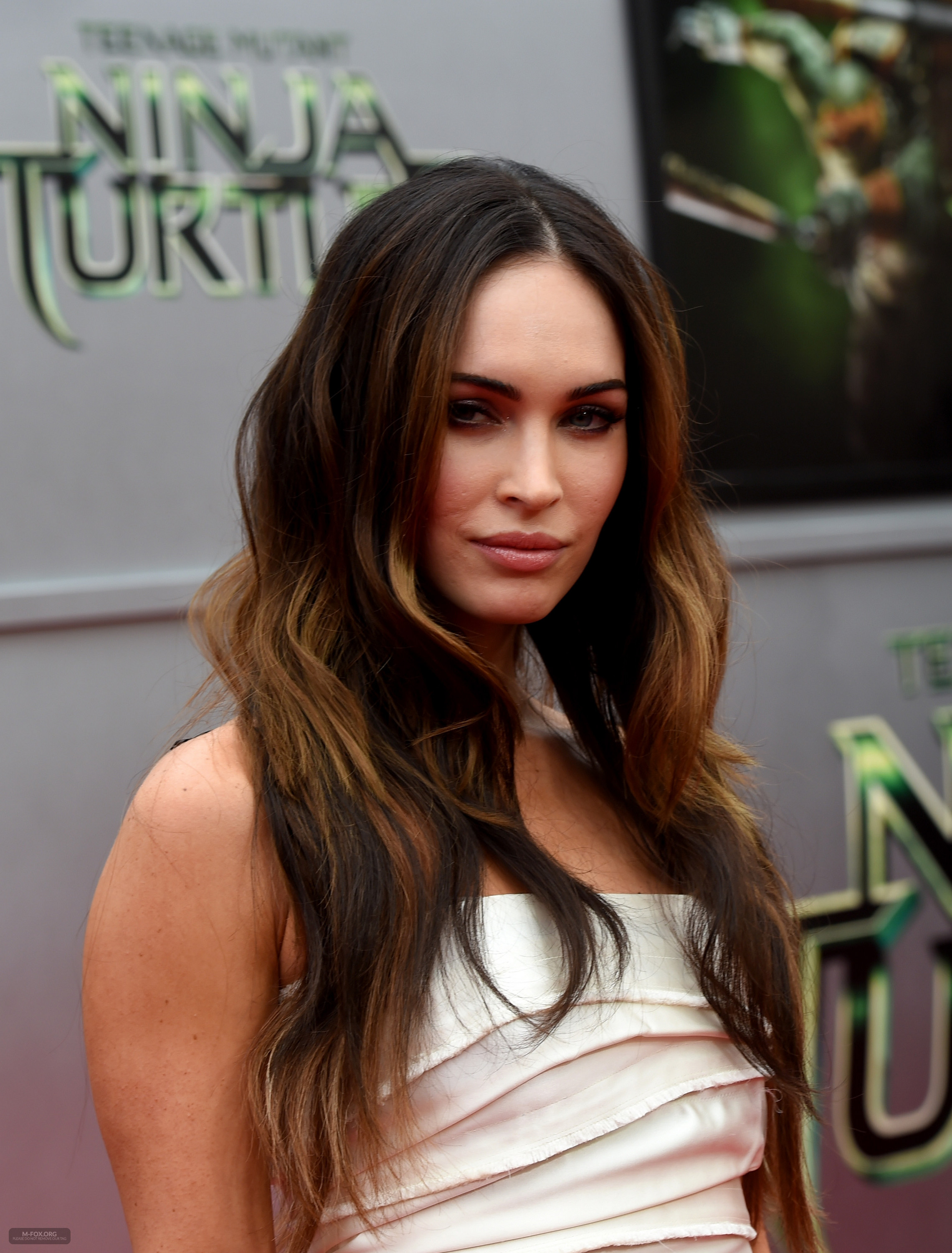 _Teenage_Mutant_Ninja_Turtles__Premiere_in_Los_Angeles080314029.jpg _Teenage_Mutant_Ninja_Turtles__Premiere_in_Los_Angeles080314029.jpg