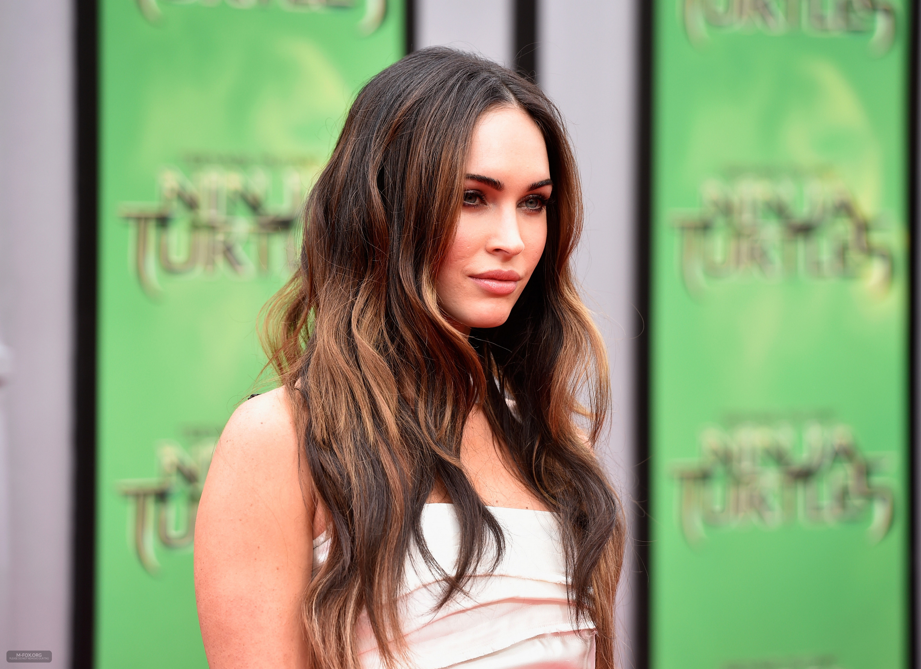 _Teenage_Mutant_Ninja_Turtles__Premiere_in_Los_Angeles080314072.jpg _Teenage_Mutant_Ninja_Turtles__Premiere_in_Los_Angeles080314072.jpg