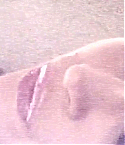 021~0.jpg
