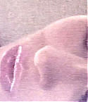 022~0.jpg