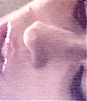 023~0.jpg