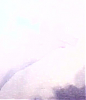 037.jpg