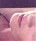 050.jpg