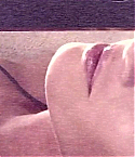 051.jpg