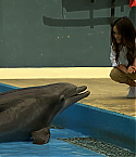 Filename=BTSacer1.jpg
Filesize=157KiB
Dimensions=1920x1080
Date added=Oct 30, 2012 BTSacer1.jpg