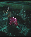 Filename=Deadpool0367.jpg
Filesize=223KiB
Dimensions=1280x720
Date added=Feb 03, 2011 Deadpool0367.jpg