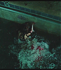 Filename=Deadpool0368.jpg
Filesize=235KiB
Dimensions=1280x720
Date added=Feb 03, 2011 Deadpool0368.jpg
