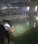 Filename=Deadpool0584.jpg
Filesize=320KiB
Dimensions=1280x720
Date added=Feb 03, 2011 Deadpool0584.jpg
