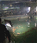 Filename=Deadpool0586.jpg
Filesize=324KiB
Dimensions=1280x720
Date added=Feb 03, 2011 Deadpool0586.jpg
