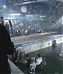 Filename=Deadpool1426.jpg
Filesize=300KiB
Dimensions=1280x720
Date added=Feb 03, 2011 Deadpool1426.jpg