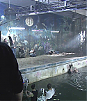Filename=Deadpool1436.jpg
Filesize=333KiB
Dimensions=1280x720
Date added=Feb 03, 2011 Deadpool1436.jpg