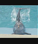 Filename=FOD0248.jpg
Filesize=26KiB
Dimensions=640x368
Date added=Oct 29, 2012 FOD0248.jpg