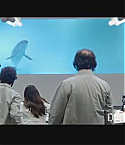 Filename=FOD0329.jpg
Filesize=28KiB
Dimensions=640x368
Date added=Oct 29, 2012 FOD0329.jpg
