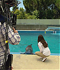 Filename=FODMO0372.jpg
Filesize=304KiB
Dimensions=1920x1088
Date added=Oct 30, 2012 FODMO0372.jpg