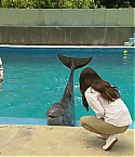 Filename=FODMO0386.jpg
Filesize=216KiB
Dimensions=1920x1088
Date added=Oct 30, 2012 FODMO0386.jpg