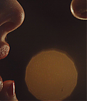 Filename=JennifersBody2967.jpg
Filesize=135KiB
Dimensions=1920x1040
Date added=Dec 19, 2012 JennifersBody2967.jpg