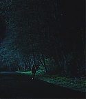 Filename=JennifersBody3355.jpg
Filesize=196KiB
Dimensions=1920x1040
Date added=Dec 19, 2012 JennifersBody3355.jpg