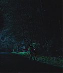 Filename=JennifersBody3395.jpg
Filesize=165KiB
Dimensions=1920x1040
Date added=Dec 19, 2012 JennifersBody3395.jpg