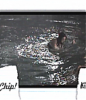 Filename=MeganAndJohnnyDiary0256.jpg
Filesize=394KiB
Dimensions=1280x720
Date added=Feb 04, 2011 MeganAndJohnnyDiary0256.jpg