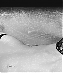 Filename=MeganFoxArmaniTeaser0015.jpg
Filesize=477KiB
Dimensions=1920x1080
Date added=Feb 24, 2011 MeganFoxArmaniTeaser0015.jpg