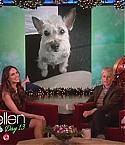 Filename=MeganFoxEllen0902.jpg
Filesize=50KiB
Dimensions=640x360
Date added=Dec 26, 2012 MeganFoxEllen0902.jpg